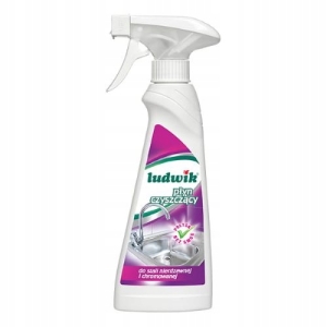 LUDWIK  PŁYN CZYSZCZACY DO STALI NIERDZEWNEJ